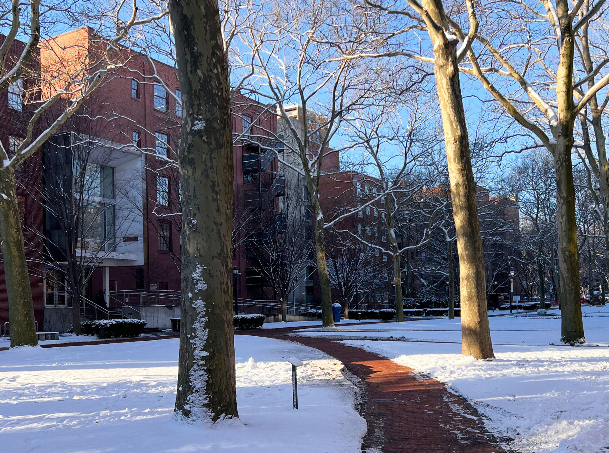 Best of Schools Winner: Icon Design + RIT, Rochester Institute of Technology