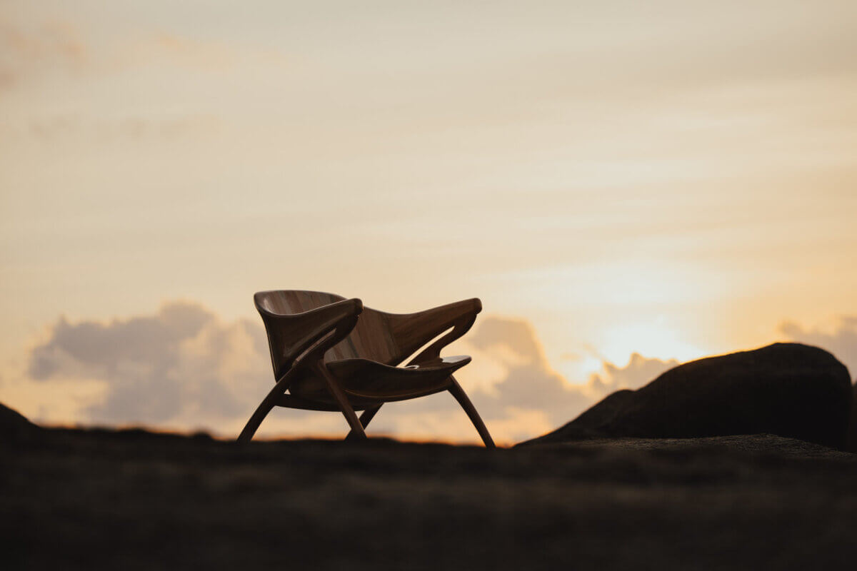 Poltrona Albatroz by YBY Design