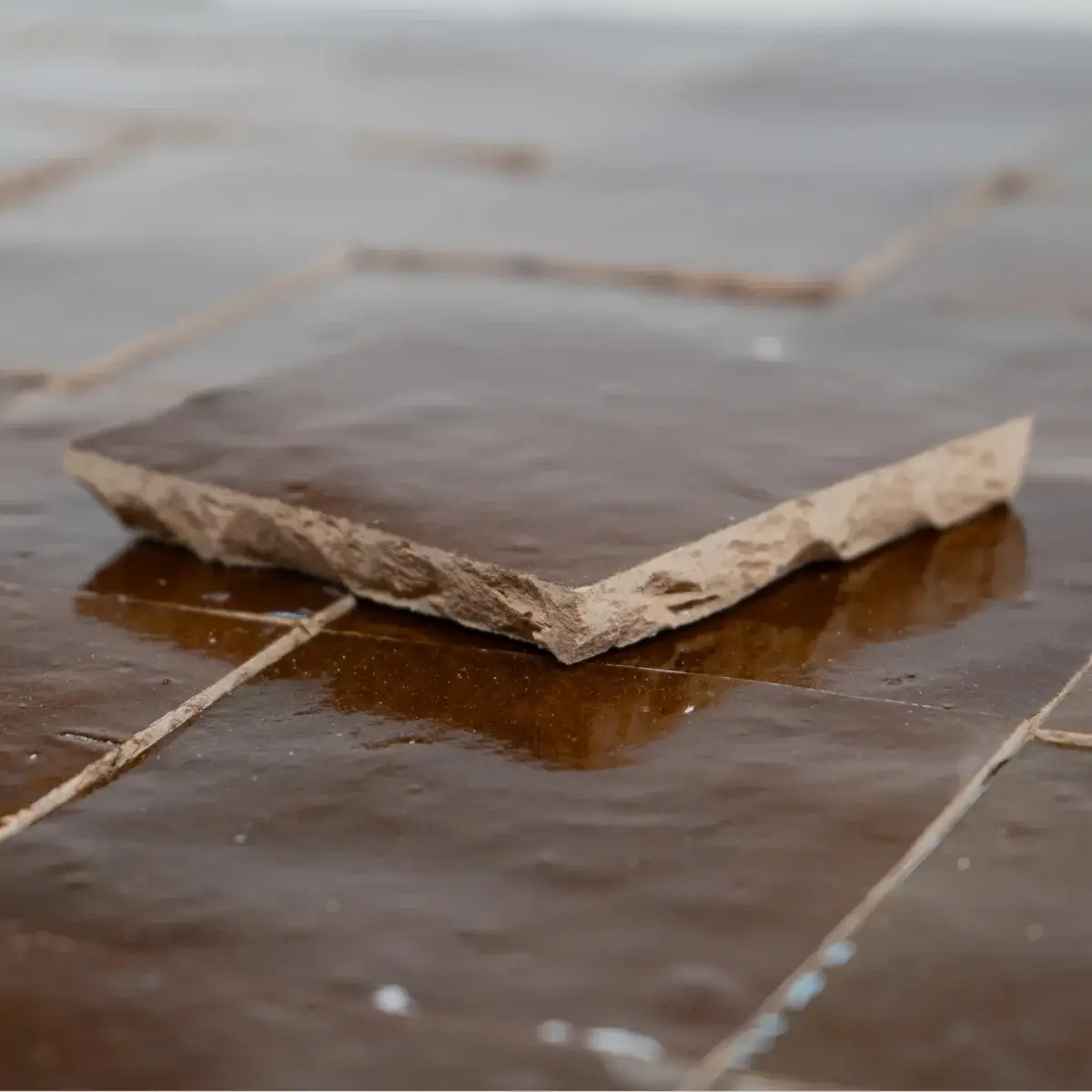 Zellige Tile by Lucca Interiors
