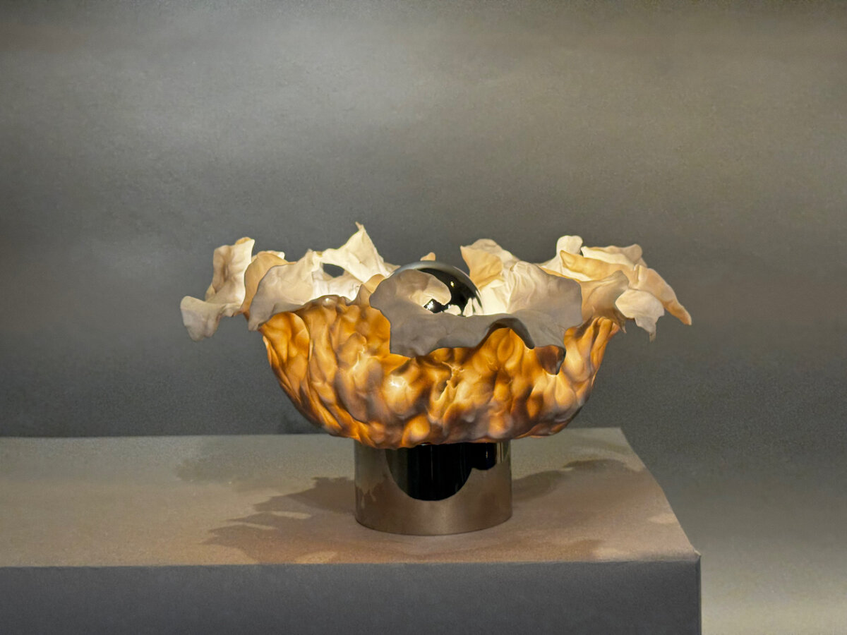 Herbarium Collection