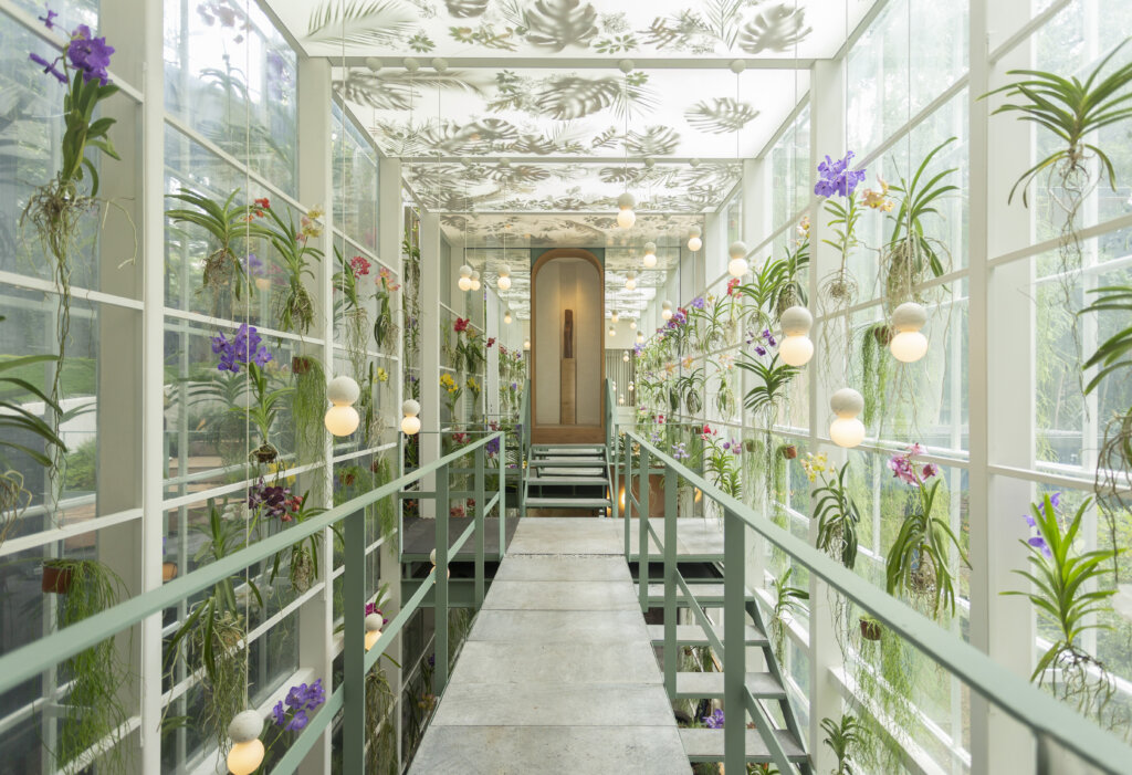 Design Week Mexico's Design House 2024: Greenhouse