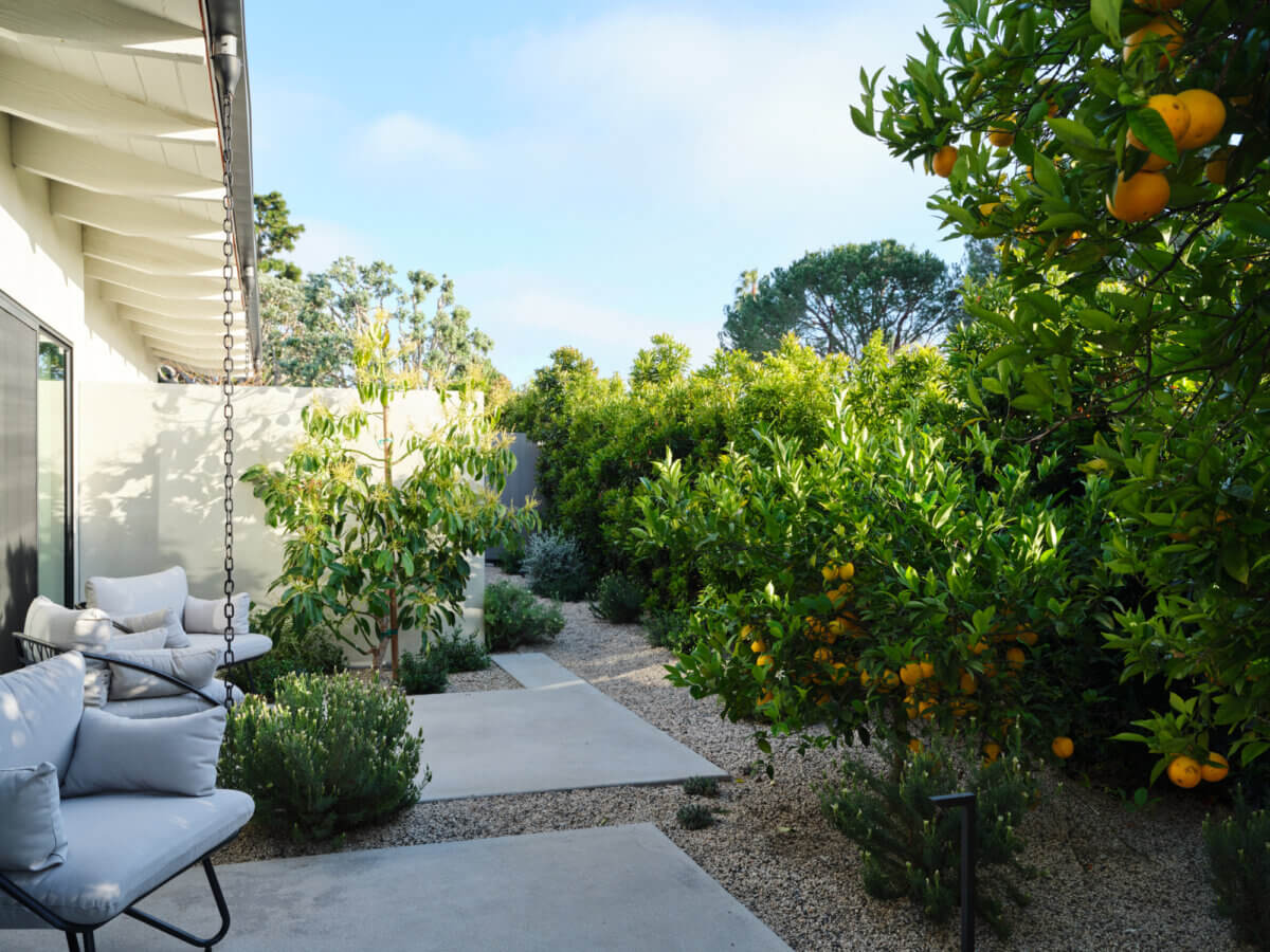 Paseo La Cresto, work by Michael McGowan