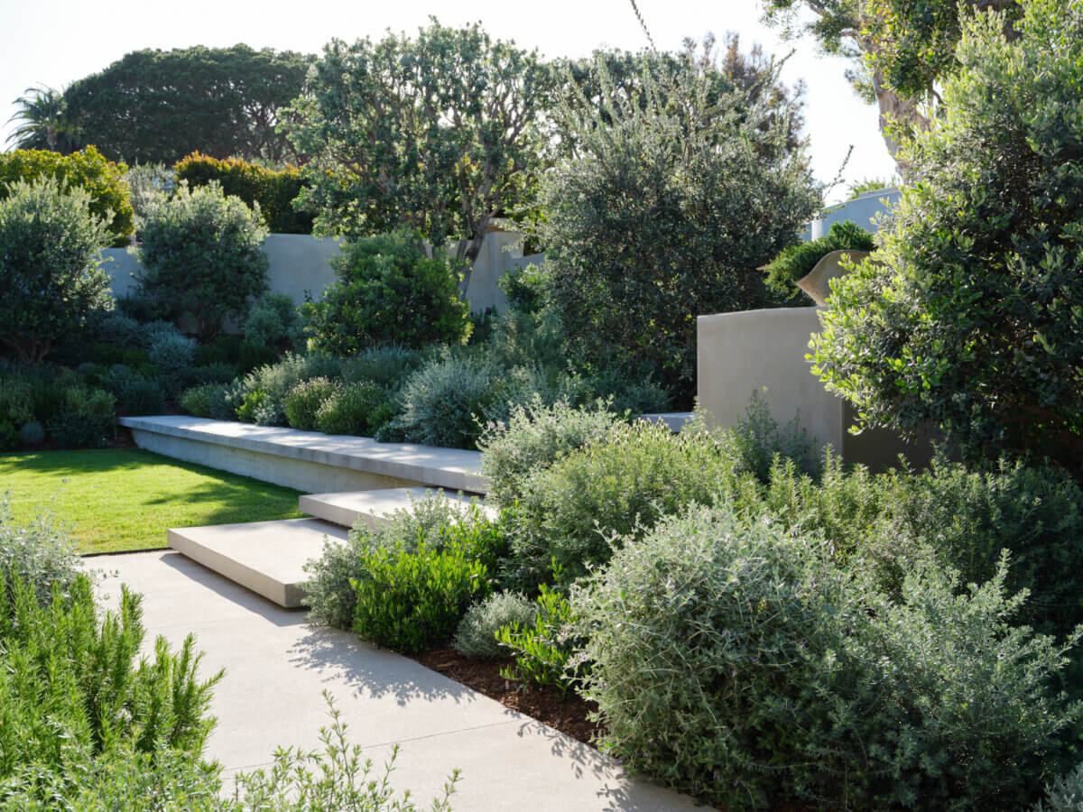 Paseo La Cresta, work by Michael McGowan